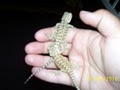Northeast Iowa Reptile Rescue, Inc. image 2