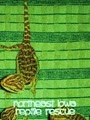 Northeast Iowa Reptile Rescue, Inc. image 5