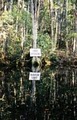 Okefenokee Swamp Park image 5