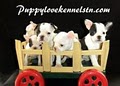 PUPPY LOVE KENNELS logo