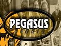Pegasus Sports image 1