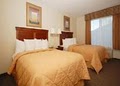 Pet Friendly Quality Inn & Suites image 5