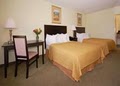 Pet Friendly Quality Inn & Suites image 6