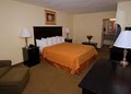Pet Friendly Quality Inn & Suites image 9