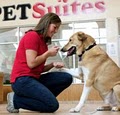 PetSuites® (Dog Boarding) image 5