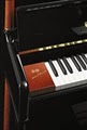 Piano Gallery image 10