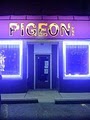 Pigeon Skate image 7