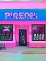 Pigeon Skate image 8