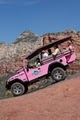 Pink Jeep Tours logo