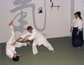 Pittak's Isshinryu Karate image 2