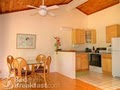 Poipu  Plantation Kauai Hawaii  Rental Suites at Poipu Beach image 9
