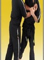 Premier Martial Arts image 2