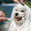 Pretty Pets Grooming Salon LLC image 3