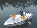 Put-in-Bay Watercraft Rentals image 5