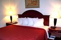 Quality Hotels & Suites image 1