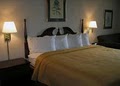 Quality Inn Cincinnati Hotel image 4