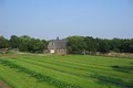 Queens County Farm Museum image 3