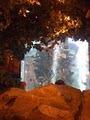 Rainforest Cafe - Anaheim - Disneyland image 4
