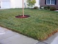 Roc Landscaping image 2