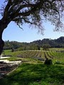 Rock Basin Vineyards image 5