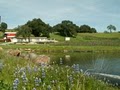 Rock Basin Vineyards image 1