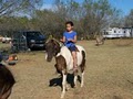Rockin L Pony Rides image 2