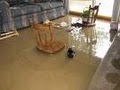 SWAT 24Hr Water Damage Service image 5
