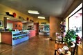 Sabino Canyon Pet Resort image 3