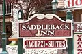 Saddleback Inn image 2