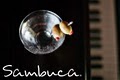 Sambuca logo