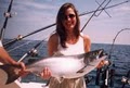 Sea Dog Sportfishing Charters of Sheboygan image 2