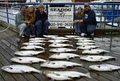 Sea Dog Sportfishing Charters of Sheboygan image 3