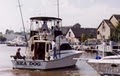 Sea Dog Sportfishing Charters of Sheboygan image 6