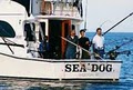 Sea Dog Sportfishing Charters of Sheboygan logo