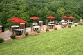 Seven Springs Winery image 1