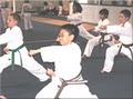 Shaolin Do Kung Fu image 8