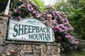 Sheepback Cabin image 2