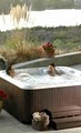 Spring Dance Hot Tubs, Inc. image 4