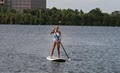 Stand Up Paddle Board MauiB.com image 9