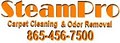 SteamPro Carpet Cleaning logo
