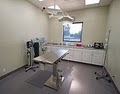 Stony Brook Animal Hospital image 6