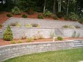 Sunshine Landscaping Company image 9