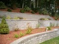 Sunshine Landscaping Company image 10