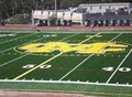 Synthetic Turf Store image 2