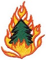 TGF Forestry & Fire image 3