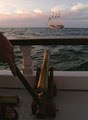 Tall Ship Windy image 6