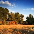 Teton Valley Cabins image 4
