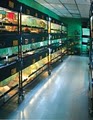 That Fish Place - That Pet Place Discount Pet and Aquarium Supplies image 4