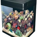 That Fish Place - That Pet Place Discount Pet and Aquarium Supplies image 6