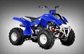 The Affordable Store ATVs image 2